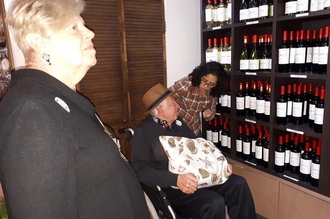 PRIVATE TOUR: Pre or Post Cruise San Antonio Port with Santiago Tour and Winery - Key Points