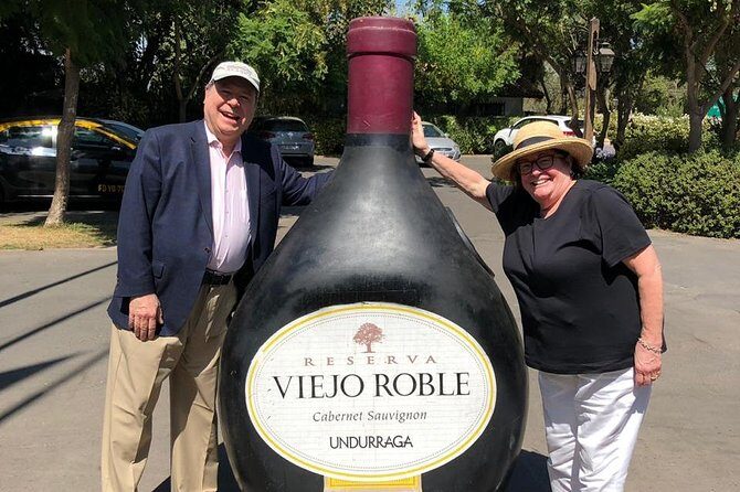 PRIVATE TOUR: Pre or Post Cruise San Antonio Port with Santiago Tour and Winery - Practical Details and Tips