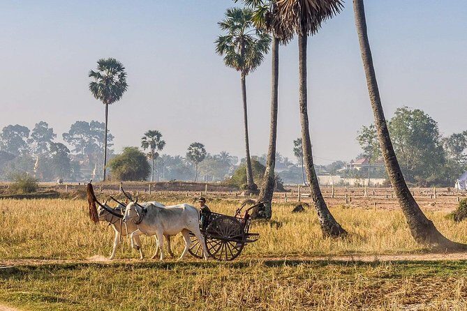 Private tour: Preah Khan Kompong Svay and Sambor Prei kuk Temples - Key Points