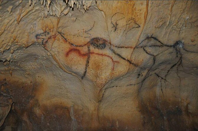 Private Tour : Prehistoric Cave and Castle by EXPLOREO SARLAT - Detailed Review of the Tour Experience