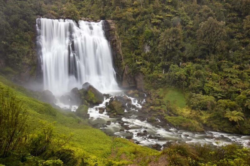 Private Tour: Private Tour: Waitomo Caves (Flexible) - What Travelers Say About This Tour