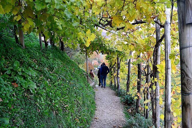 Private Tour: Prosecco Wine Tasting Day Trip with Lunch from Venice - Why This Tour Stands Out