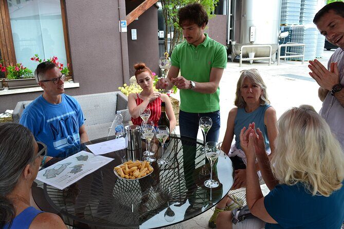 Private Tour: Prosecco Wine Tasting Day Trip with Lunch from Venice - Who Should Consider This Tour?