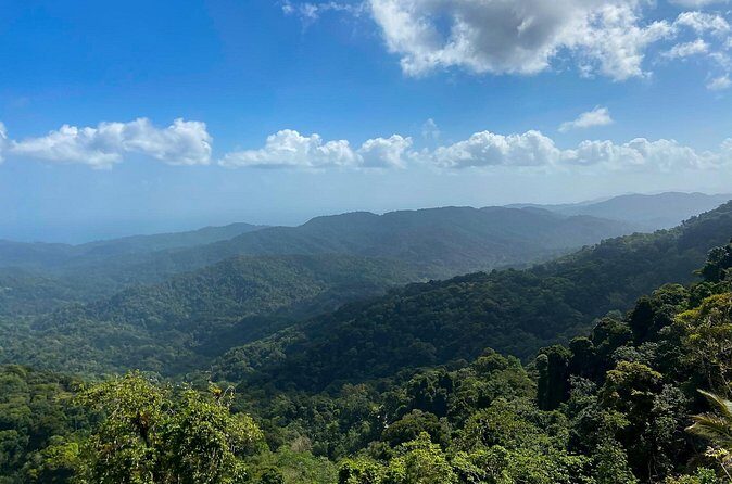 Private Tour Rainforest from Tobago - Who Would Love This Tour?