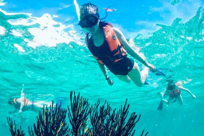 Private Tour Reefs and Corals Puerto Morelos Snorkel Lunch - Who Will Love This Tour?