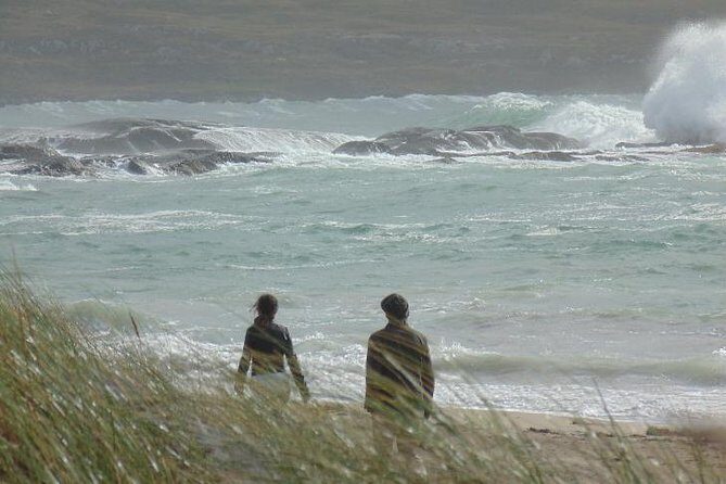 Private Tour: Ring of Kerry from Kerry. Dingle, Tralee etc. - A Deep Dive into the Experience: What to Expect
