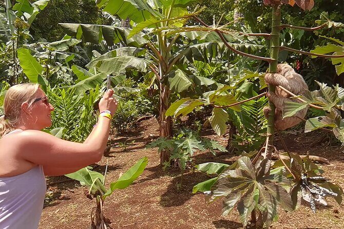 Private Tour Rio Celeste, Waterfalls, Rainforest, Sloth Encounter - Exploring Costa Rica’s Natural Wonders: A Deep Dive into the Private Tour