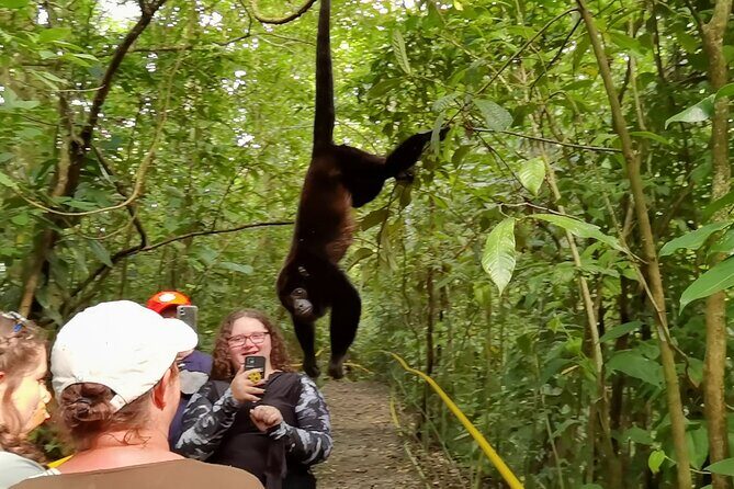 Private Tour Rio Celeste, Waterfalls, Rainforest, Sloth Encounter - FAQ