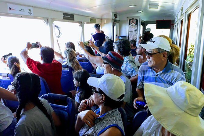 Private Tour: Rio Experience (Christ the Redeemer, Sugar Loaf and more !) - Final Thoughts