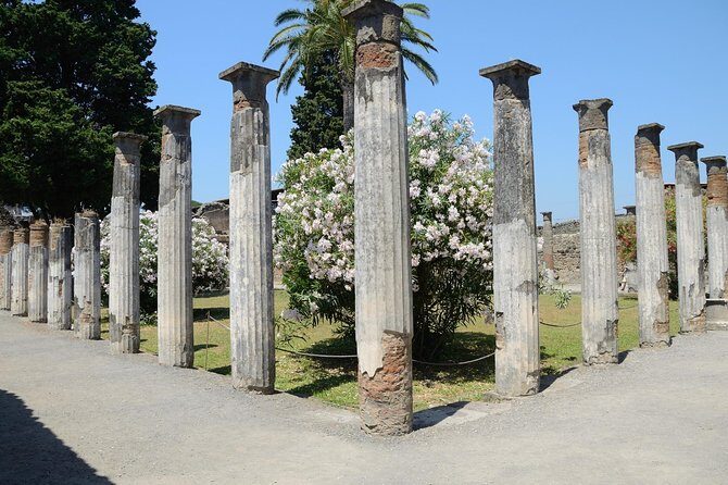 Private Tour Rome to Pompeii in private vehicle or fast train - Practical Tips for Making The Most of Your Day