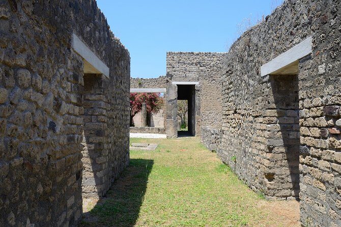 Private Tour Rome to Pompeii in private vehicle or fast train - Additional Questions