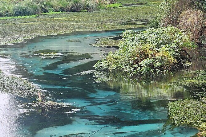 Private Tour Rotorua + Blue springs + WaiOtapu + Redwood forest - Authentic Experiences and Practical Details