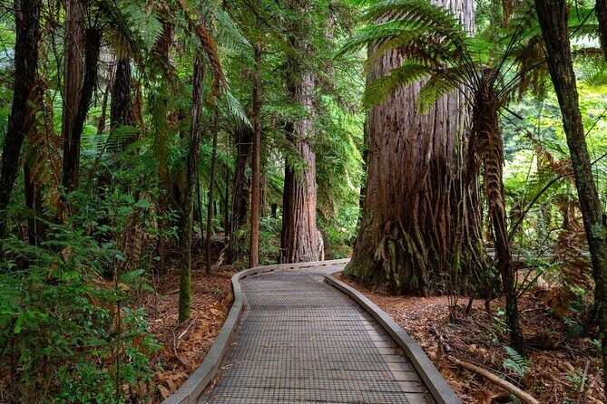 Private Tour Rotorua Waiotapu Redwood Forest and Polynesian Spa - Exploring Rotorua: An Authentic Adventure