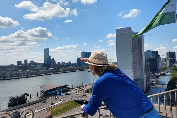 Private Tour Rotterdam: Highlights, Water Taxi and Rooftop view - Who Should Book This Tour?