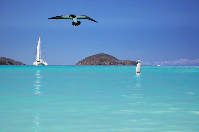 Private Tour Sail in Virgin Islands National Park - Who Is This Tour Best For?