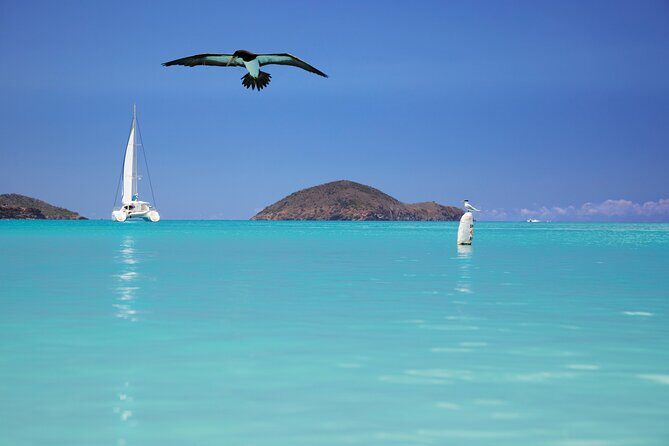 Private Tour Sail in Virgin Islands National Park - FAQ