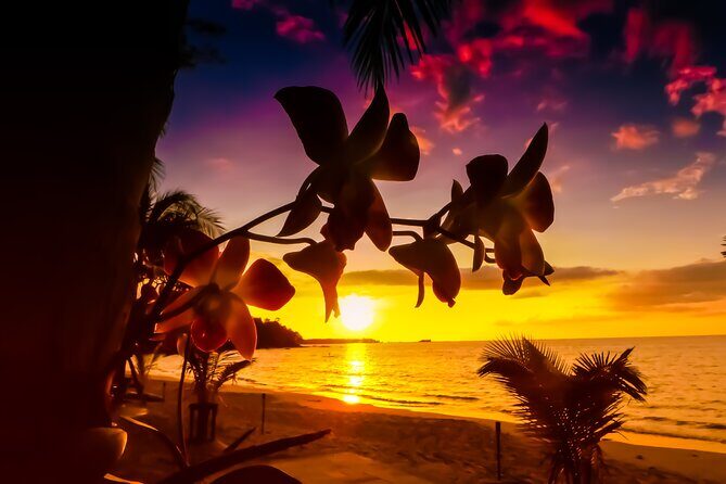 Private Tour Saint Lucia Beachfront Sunset - Return Journey & Final Moments