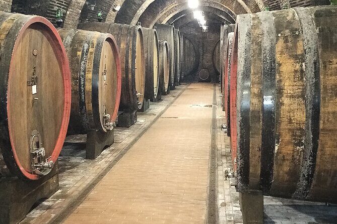 PRIVATE TOUR: Savor Exquisite Wines: Brunello & Nobile Wine Tour - The Sum Up