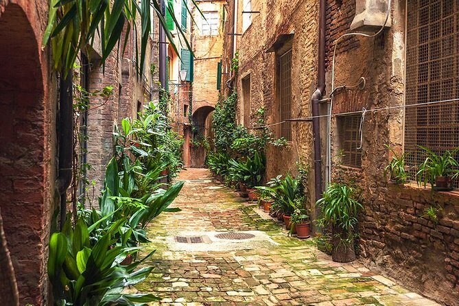 Private Tour: Secret Siena Walking Tour - The Sum Up