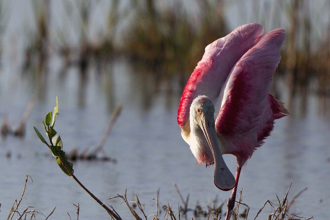 Private tour - Sian Ka´an Adventure - Key Points