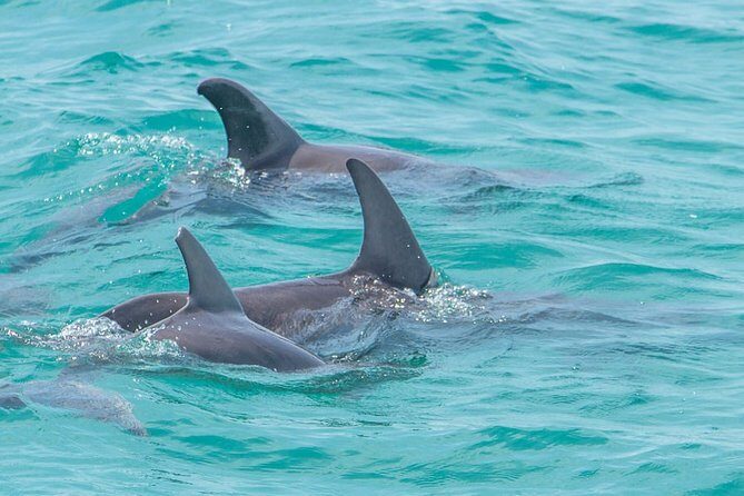 Private tour - Sian Ka´an Adventure - Who Will Love This Tour?