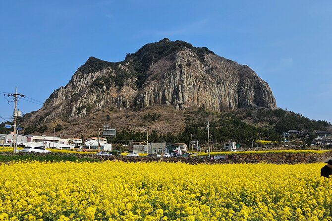 Private Tour South and West Jeju Island with Experienced Driver - FAQ