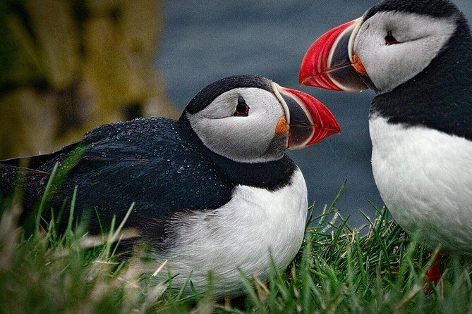 Private Tour: South Coast of Iceland by SUV or Van from Reykjavik - The Sum Up