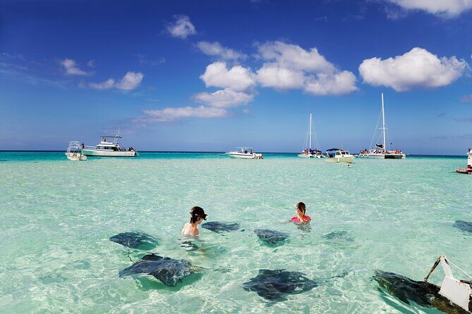 Private Tour Starfish Point, Stingray City, Coral Garden - Experience the Best of Grand Cayman with a Private Tour of Stingray City, Coral Garden, and Starfish Point