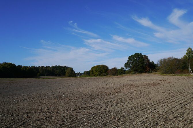 Private Tour: Swedish History Day Trip to World Heritage Candidate Markim-Orkesta from Stockholm - A Personal Adventure into Sweden’s Past: Markim-Orkesta from Stockholm