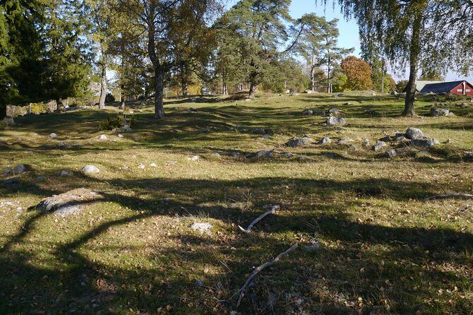 Private Tour: Swedish History Day Trip to World Heritage Candidate Markim-Orkesta from Stockholm - The Value of This Tour
