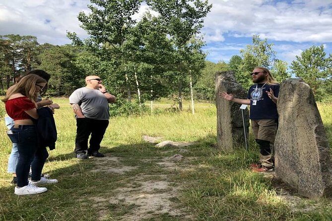 Private Tour: Swedish Iron Age Excursion from Stockholm 3h - Key Points