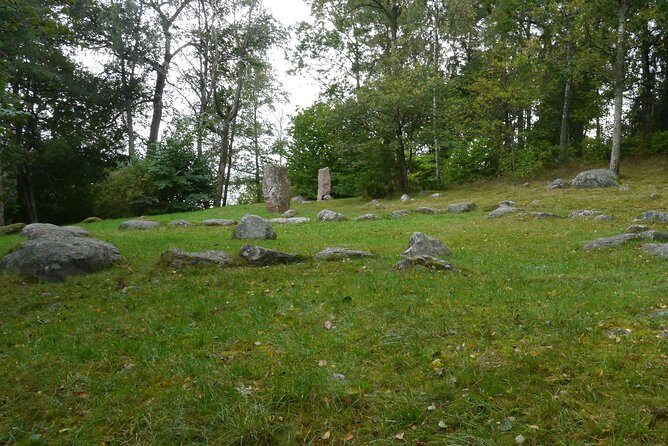 Private Tour: Swedish Iron Age Excursion from Stockholm 3h - In-Depth Review of the Swedish Iron Age Excursion