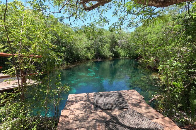 Private Tour : Swim with Sea Turtles in Akumal + Two Cenotes - Who Should Consider This Tour?