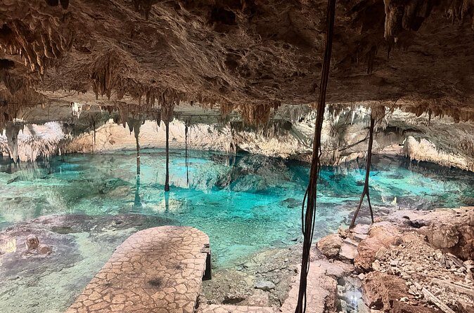 Private Tour : Swim with Sea Turtles in Akumal + Two Cenotes - Final Thoughts