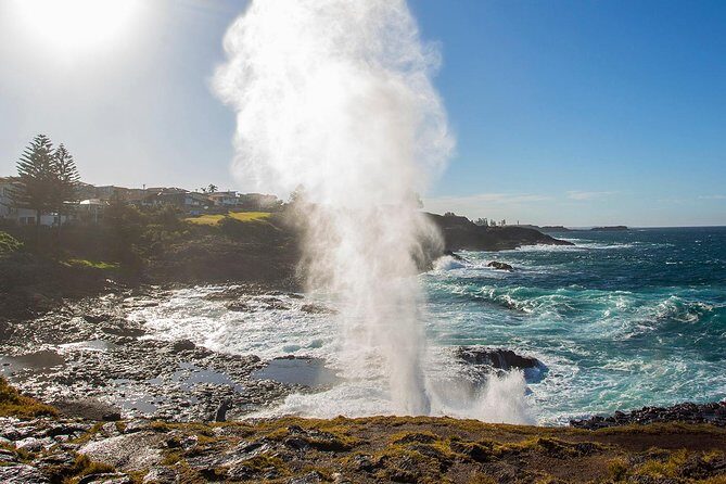 Private Tour: Sydney South Coast & Highlands - FAQ