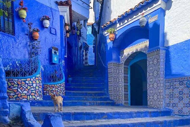 Private Tour: Tangier From Malaga. Breakfast and Lunch Included - Key Points