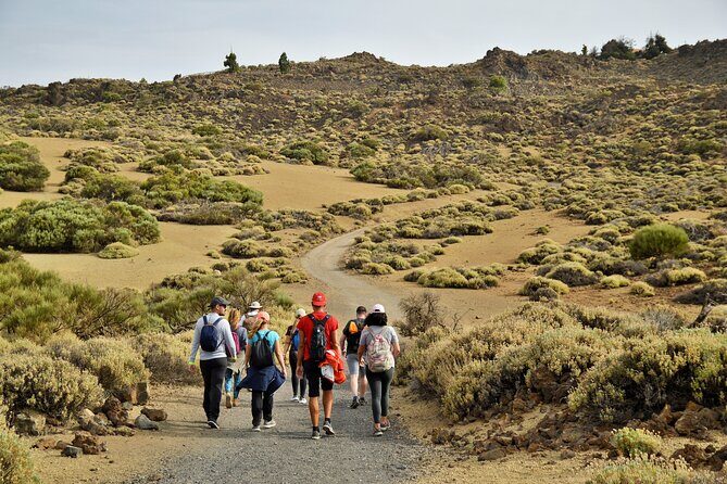 PRIVATE TOUR Teide National Park: Hiking and Stargazing - An In-Depth Look at the Teide National Park Hike and Stargazing Tour