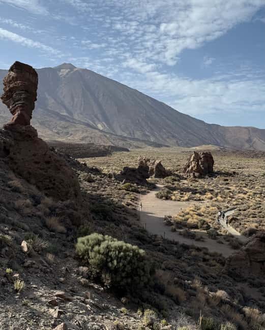 Private tour Tenerife: Teide National Park + Restaurant - Practical Details and What You Should Know