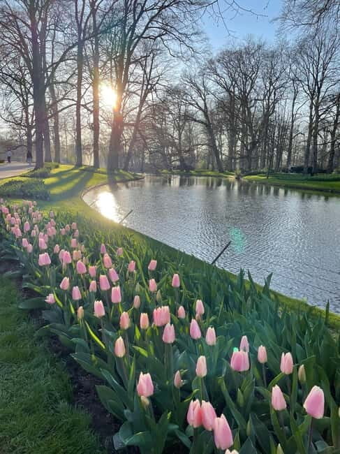 Private Tour, Tesla from Amsterdam: Keukenhof & Tulip Fields - In The Sum Up