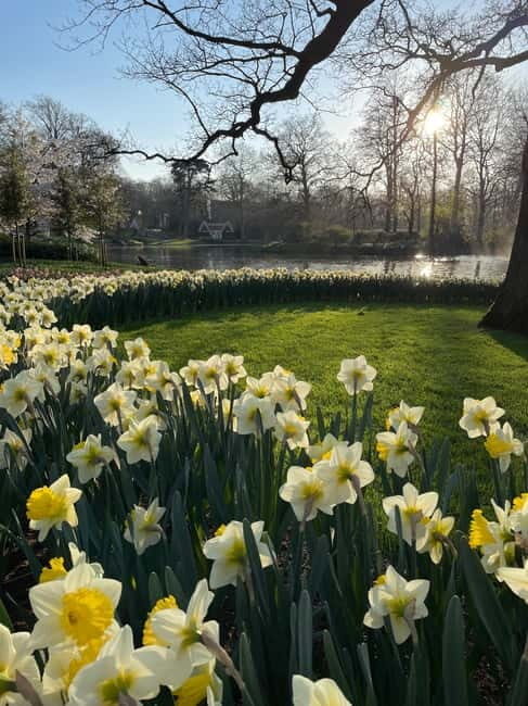 Private Tour, Tesla from Amsterdam: Keukenhof & Tulip Fields - FAQ