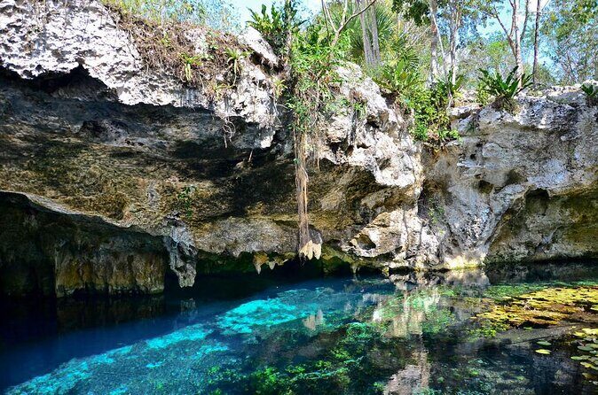 Private Tour The Best Cenotes in Tulum Riviera Maya - A Complete Guide to the Private Cenote Tour in Riviera Maya