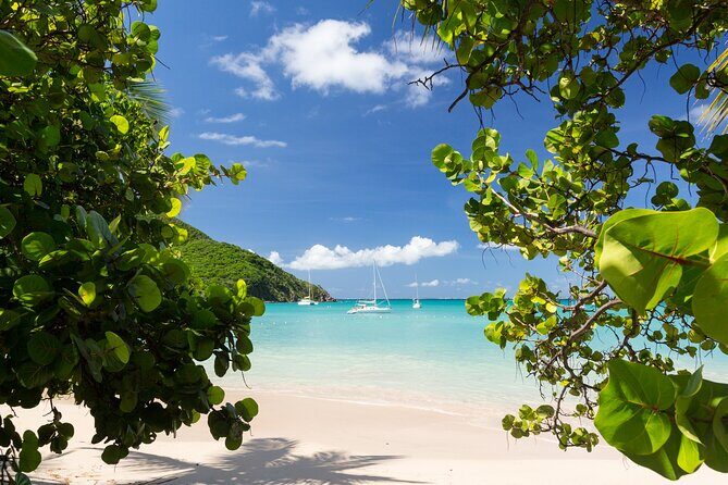 Private Tour The Best of St Maarten Sightseeing - Key Points