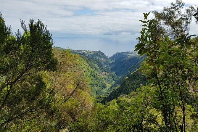 Private Tour The Biosphere Santana - Price, Value, and Practical Tips