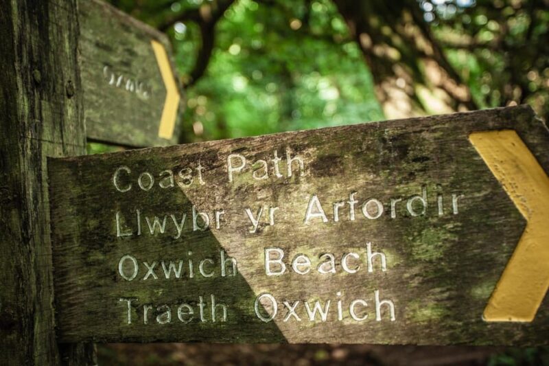Private Tour: The Gower - Mumbles, Three Cliffs & Worms Head - Why This Tour Offers Great Value