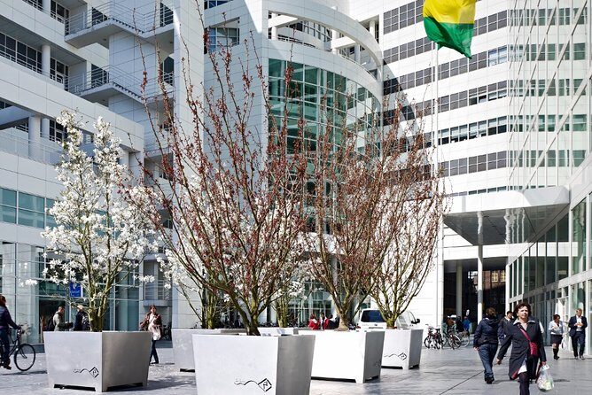 Private Tour: The Hague Walking Tour Including Peace Palace Visitors Center - Final Advice