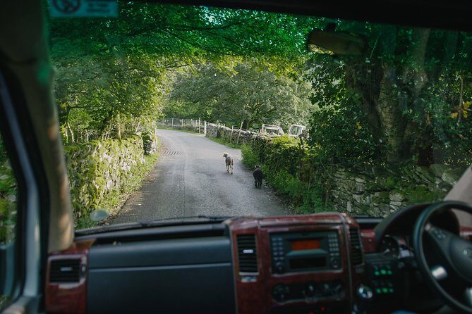 Private Tour: The Lake District from Liverpool - The Sum Up