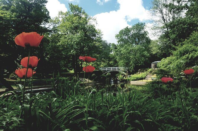 Private Tour The Montreal Garden from Kingstown - The Highlight – Montreal Gardens