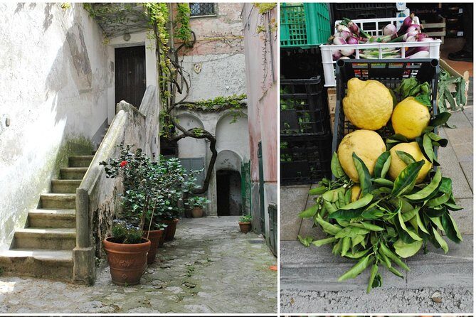 Private Tour: The Path of the Lemons - A Detailed Look at the Path of the Lemons Tour