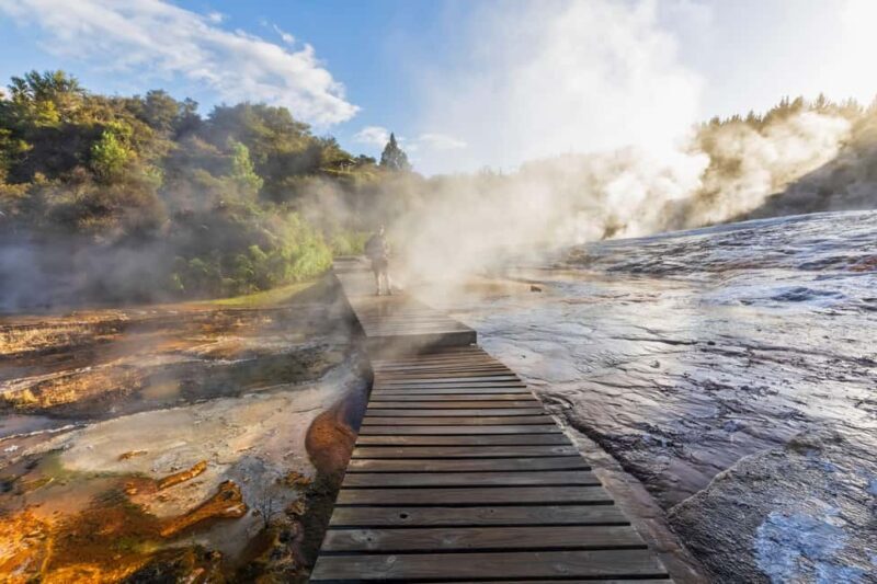 Private Tour: The Rocky Rotorua (Flexible) - What Travelers Say