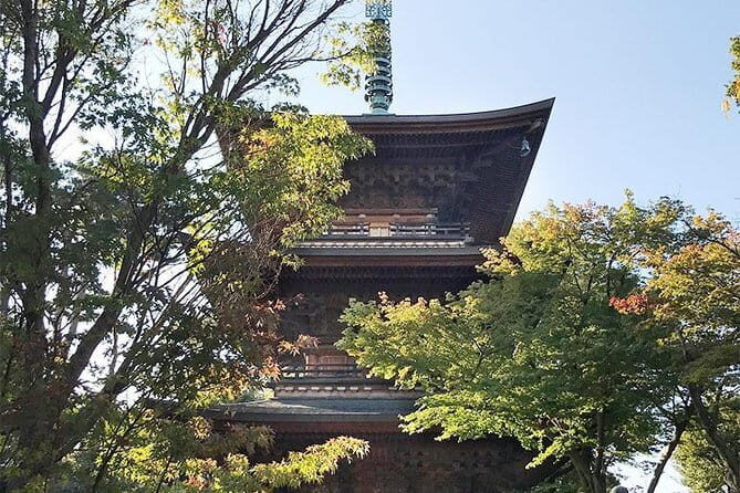 Private Tour - Thousands of lucky cats! Go by tram, Gotokuji Tour - FAQ